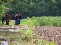 De Bosbeekpoort Βίλα Opglabbeek Δωμάτιο φωτογραφία